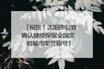 祝贺！沈阳市复查确认继续保留全国文明城市荣誉称号
