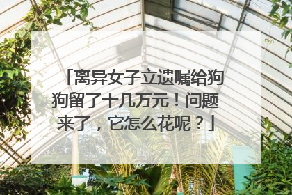 离异女子立遗嘱给狗狗留了十几万元！问题来了，它怎么花呢？