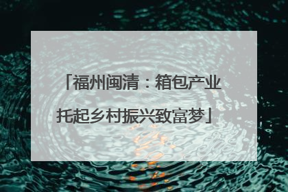 福州闽清：箱包产业托起乡村振兴致富梦