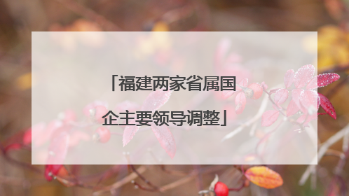 福建两家省属国企主要领导调整