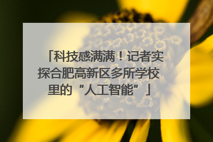 科技感满满！记者实探合肥高新区多所学校里的“人工智能”