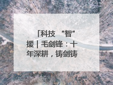科技 “智”援｜毛剑锋：十年深耕，铸剑铸造创新之路