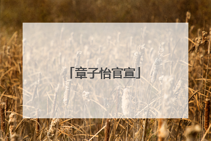章子怡官宣