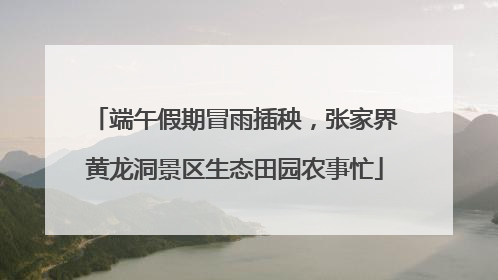 端午假期冒雨插秧，张家界黄龙洞景区生态田园农事忙