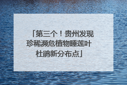 第三个！贵州发现珍稀濒危植物睡莲叶杜鹃新分布点