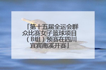 第十五届全运会群众比赛女子篮球项目（B组）预赛在四川宜宾南溪开赛