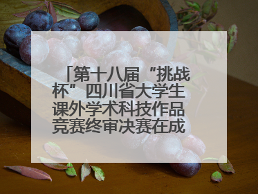 第十八届“挑战杯”四川省大学生课外学术科技作品竞赛终审决赛在成都举行
