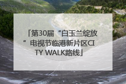 第30届“白玉兰绽放”电视节临港新片区CITY WALK路线