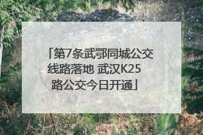 第7条武鄂同城公交线路落地 武汉K25路公交今日开通