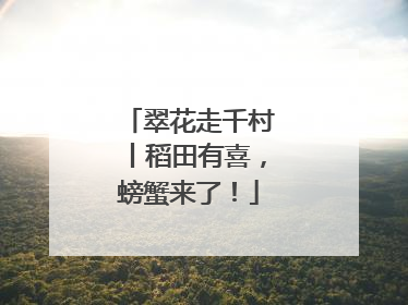 翠花走千村丨稻田有喜，螃蟹来了！