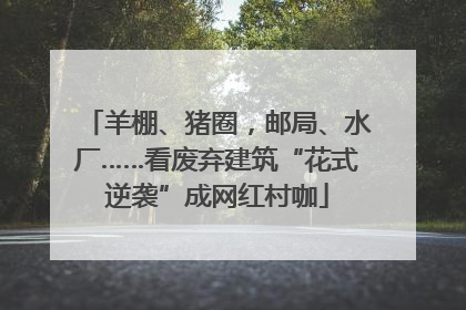 羊棚、猪圈，邮局、水厂……看废弃建筑“花式逆袭”成网红村咖