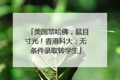 美国禁哈佛，鼠目寸光！香港科大：无条件录取转学生