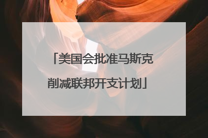 美国会批准马斯克削减联邦开支计划