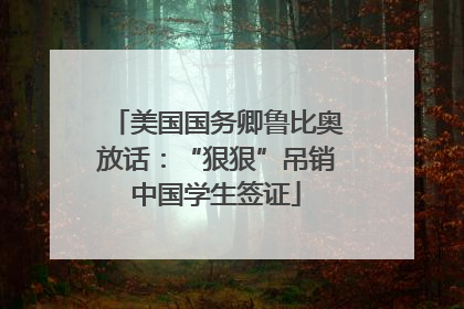 美国国务卿鲁比奥放话：“狠狠”吊销中国学生签证