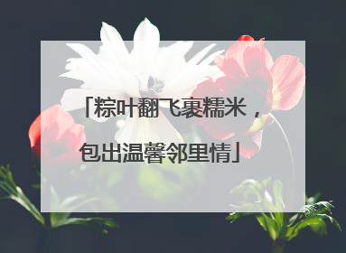 粽叶翻飞裹糯米，包出温馨邻里情