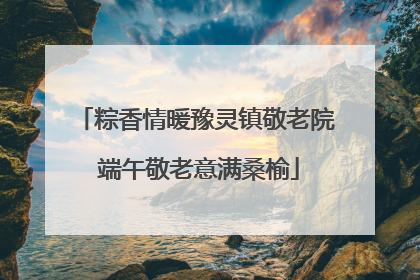 粽香情暖豫灵镇敬老院 端午敬老意满桑榆