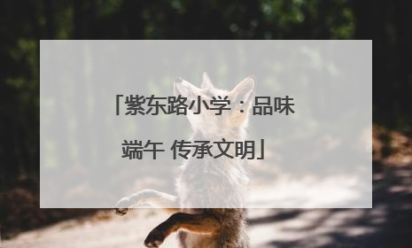 紫东路小学：品味端午 传承文明