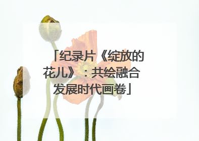 纪录片《绽放的花儿》：共绘融合发展时代画卷