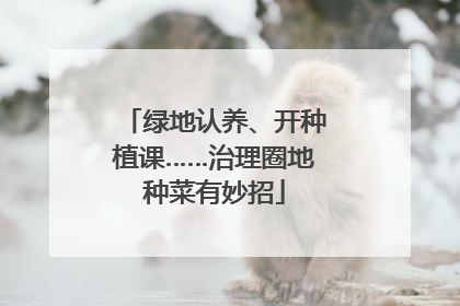 绿地认养、开种植课……治理圈地种菜有妙招