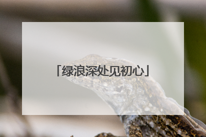 绿浪深处见初心