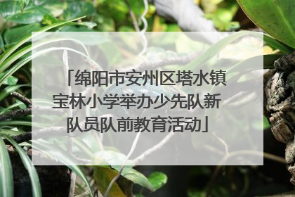 绵阳市安州区塔水镇宝林小学举办少先队新队员队前教育活动