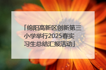 绵阳高新区创新第三小学举行2025春实习生总结汇报活动