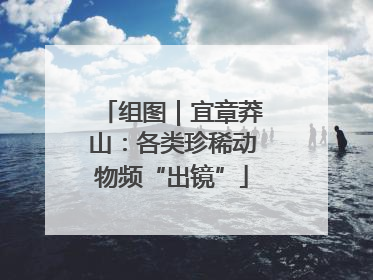 组图｜宜章莽山：各类珍稀动物频“出镜”