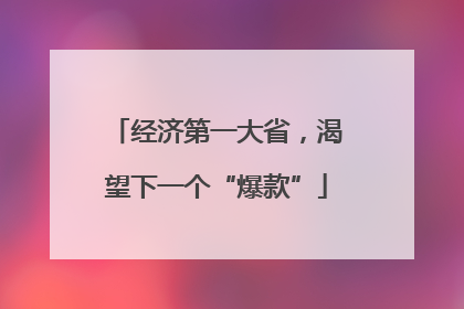 经济第一大省，渴望下一个“爆款”