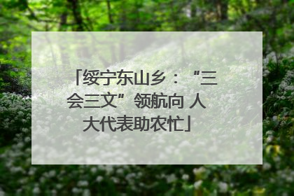 绥宁东山乡：“三会三文”领航向 人大代表助农忙