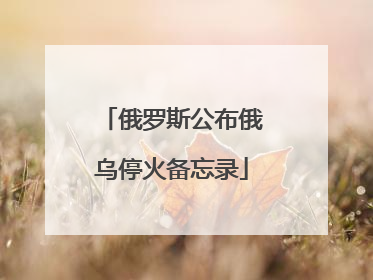 俄罗斯公布俄乌停火备忘录