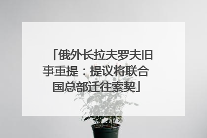 俄外长拉夫罗夫旧事重提：提议将联合国总部迁往索契