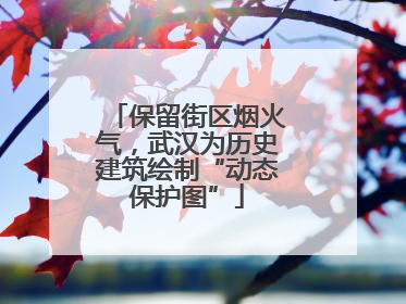 保留街区烟火气，武汉为历史建筑绘制“动态保护图”