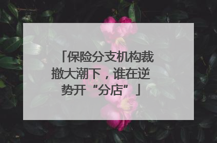 保险分支机构裁撤大潮下，谁在逆势开“分店”
