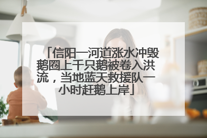 信阳一河道涨水冲毁鹅圈上千只鹅被卷入洪流，当地蓝天救援队一小时赶鹅上岸