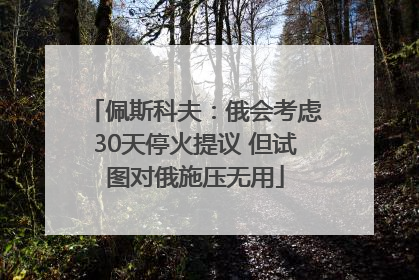 佩斯科夫：俄会考虑30天停火提议 但试图对俄施压无用