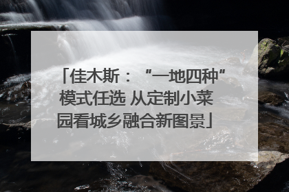 佳木斯：“一地四种” 模式任选 从定制小菜园看城乡融合新图景