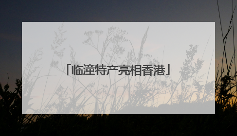 临潼特产亮相香港