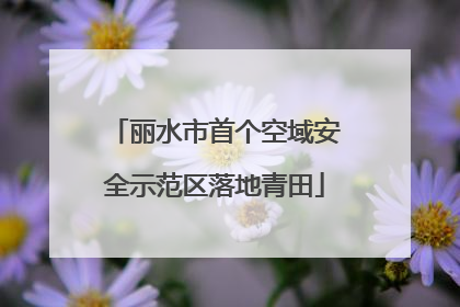 丽水市首个空域安全示范区落地青田