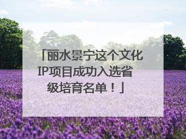 丽水景宁这个文化IP项目成功入选省级培育名单！
