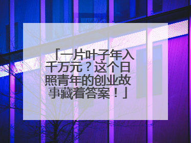 一片叶子年入千万元？这个日照青年的创业故事藏着答案！