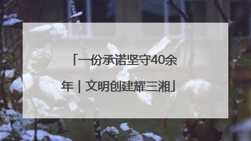 一份承诺坚守40余年｜文明创建耀三湘