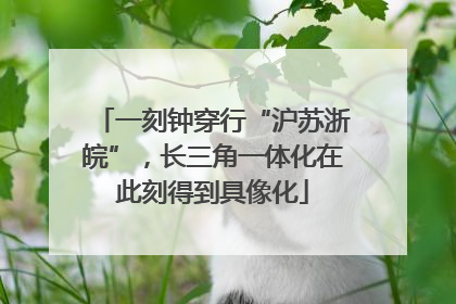 一刻钟穿行“沪苏浙皖”，长三角一体化在此刻得到具像化