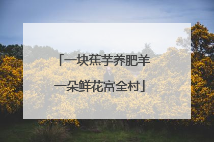一块蕉芋养肥羊 一朵鲜花富全村