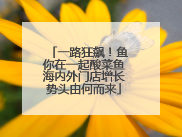 一路狂飙！鱼你在一起酸菜鱼海内外门店增长势头由何而来
