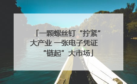 一颗螺丝钉“拧紧”大产业 一张电子凭证“链起”大市场
