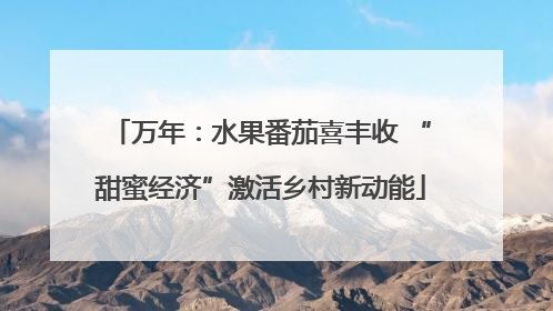 万年：水果番茄喜丰收 “甜蜜经济”激活乡村新动能