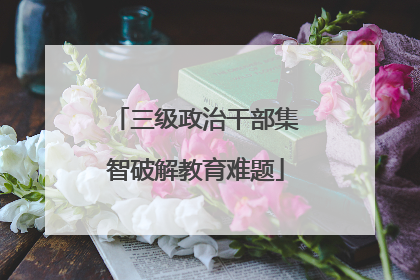 三级政治干部集智破解教育难题