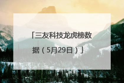 三友科技龙虎榜数据（5月29日）
