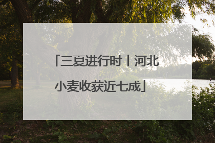 三夏进行时丨河北小麦收获近七成