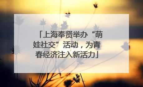 上海奉贤举办“萌娃社交”活动，为青春经济注入新活力